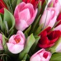 25 красных и розовых тюльпанов